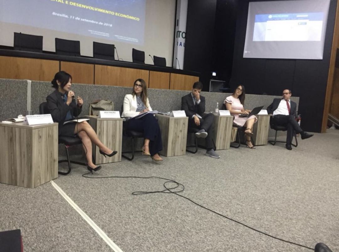 Participação de Ana Frazao no Workshop Economia Digital e Desenvolvimento